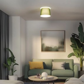 Brilagi - LED felületre szerelhető csillár CERIA 1xE27/40W/230V átmérő 30 cm zöld