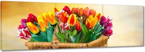 Vászonkép 60x20 Tulipánok Virágok