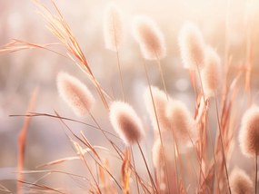 Poszter 20x15cm Napvirágok