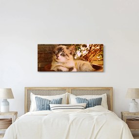 Macska a virágcserépben képe (120x50 cm)
