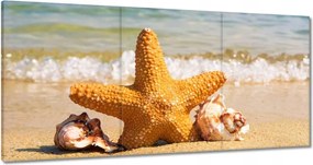Vászonkép 60x30 Tengeri csillag és kagylók