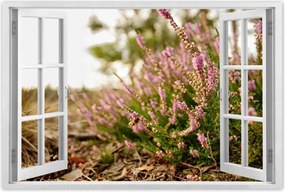 Poszterek 90x60 Erdei láp