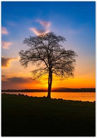 Poszterek 70x100 Fa naplemente