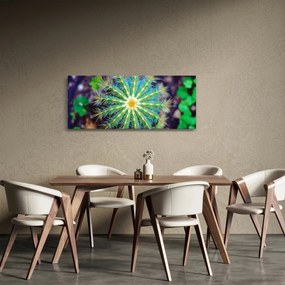 Kaktusz kép (120x50 cm)