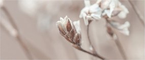 Kép - Ág részlet (120x50 cm)