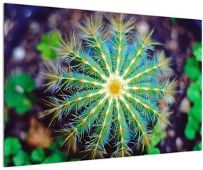 Kaktusz kép (90x60 cm)