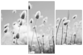 Kép - Boho nyuszi farok fű (90x60 cm)