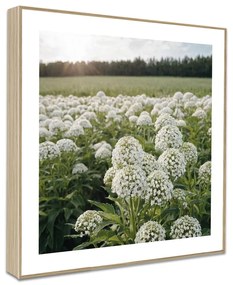 Kép szett 4 db-os 30x30 cm Sunrise Hike