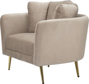 Szürkésbarna bársony fotel Kiev – Mauro Ferretti