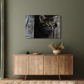 Cica képe (90x60 cm)
