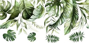 Dekoratív falmatrica Monstera levelek 150 x 300 cm