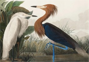 Fotótapéta Flizelin Fal a Hálószobába Madarak a növényekben 208x146 Ragasztó