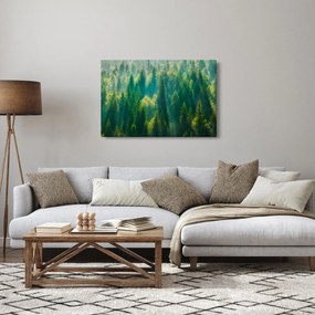Kép - fenyőerdő (90x60 cm)