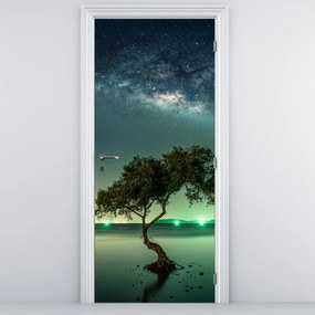 Fotótapéta ajtóra - Éjszakai égbolt (95x205cm)