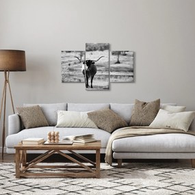 Kép - Tehén, fekete-fehér (90x60 cm)