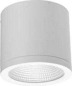 AZZARDO 6030 CONYON Hengeres Mennyezeti Lámpa LED IP54