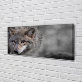Canvas képek Farkas 125x50 cm