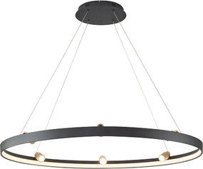 AVIANO LIGHTING 6206-0710 PIGNANO Modern Led Függesztett Lámpa Matt Fekete, Matt Arany LED IP20