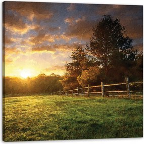 Vászonkép Nap Tájkép Falusi fák Rét 90X90 cm