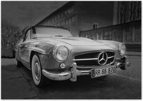 Poszterek 100x70 Mercedes Szárnyas autó