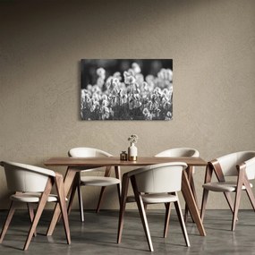 Kép - Nyári rét (90x60 cm)