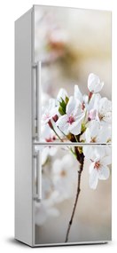 Hűtő matrica Cseresznye virágok FridgeStick-70x190-f-100965392