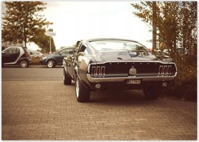 Plakátok 70x50 Ford Mustang Fekete-fehér
