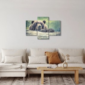 Medve képe (90x60 cm)