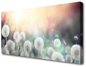 Vászonkép Pitypang Virágok Természet 120x60 cm