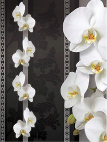 Flizelin fotótapéta Orchideák Damaszkusz sötét háttér elegancia 206x275 +ragasztó