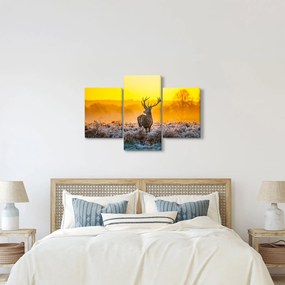 Kép - Szarvas napfelkeltekor (90x60 cm)