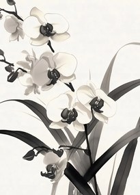 Poszter 39,5x55cm Orchidea