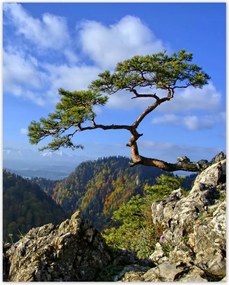 Poszterek 40x50 Tájképek Kilátások Tájképek