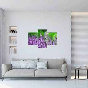 Lila mezei virágok képe (90x60 cm)