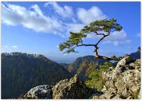 Poszterek 100x70 Tájképek Kilátások Tájképek