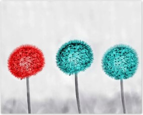 Poszterek 50x40 Piros pitypang