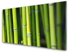 Fali üvegkép Nature bambusz növény 140x70 cm