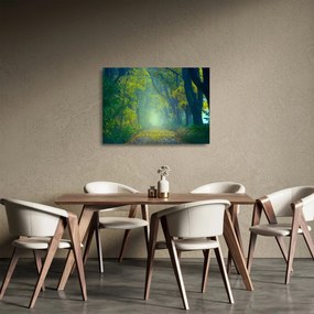 Fákkal szegélyezett út képe (üvegen) (70x50 cm)