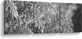 Kép - Lucfenyő erdő (órával) (90x30 cm)