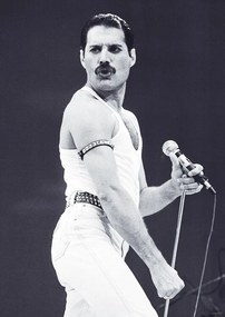 Plakát Freddie Mercury - Live Aid