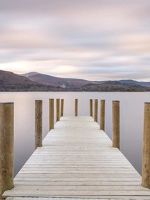 Poszter 60x80cm, Assaf Frank