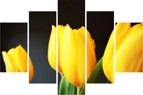 Tulipán képe (150x105 cm)