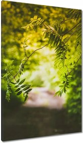 Vászonkép 80x120 Zöld levelek Levelek