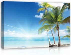 Vászonkép 60x40 Trópusok tengerpart tenger óceán pálmafák nap ég pihenés paradicsom