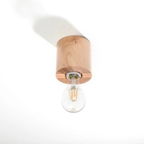 Sollux SL.0672 - Mennyezeti lámpa SALGADO 1xE27/60W/230V fa