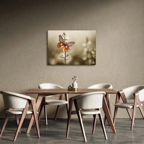 Pillangó képe (70x50 cm)