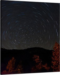 Vászonkép Természet Erdő Éjszaka Hegyek Absztrakt Fák 80x100