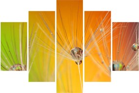 Cseppek a növényen képe (150x105 cm)
