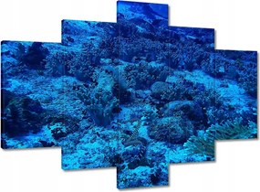 Képek 150x105 Óceán ökoszisztéma zátony