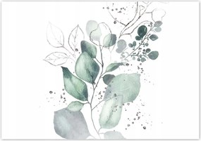 Poszterek 100x70 Eukaliptusz ág